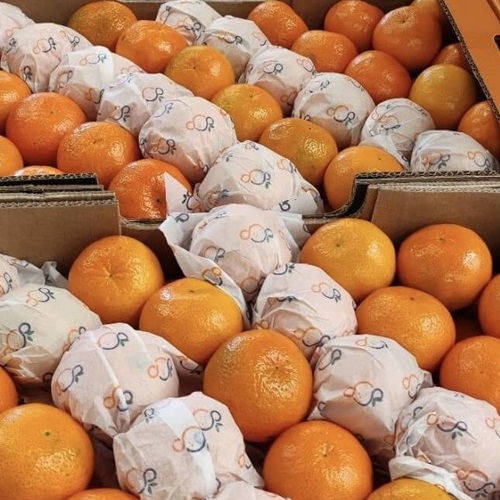 Imagen de Mandarina